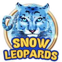 Snow Leopards